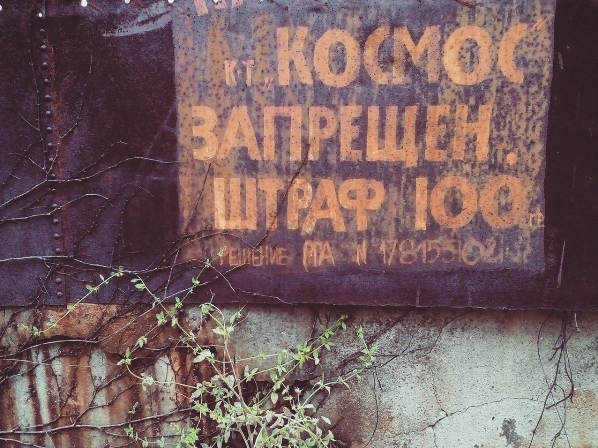 Креативные надписи на стенах