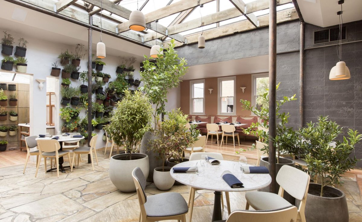 Дерево в интерьере кафе