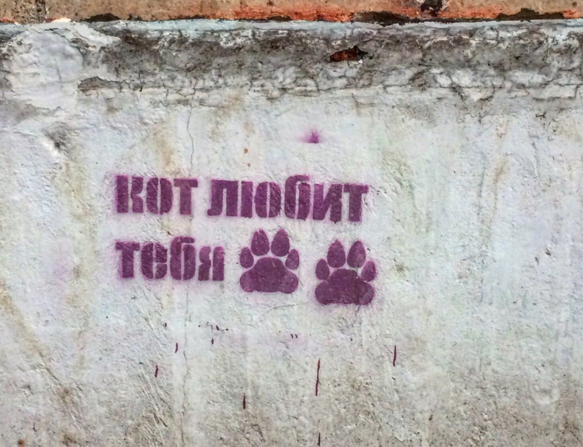 Сеты надпись