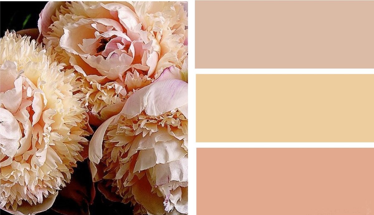 Бледно-желтый цвет в интерьере