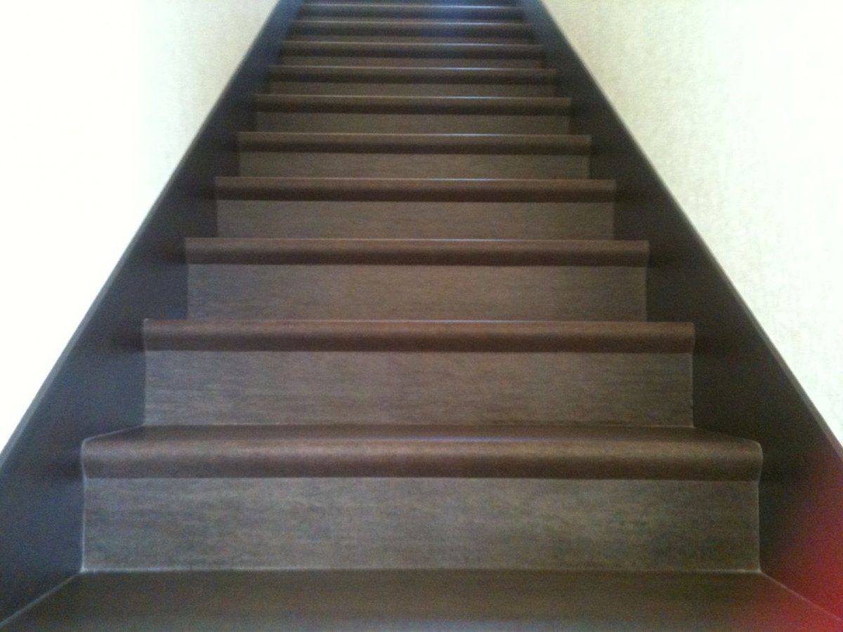 Ступени с капиносом + подступенник