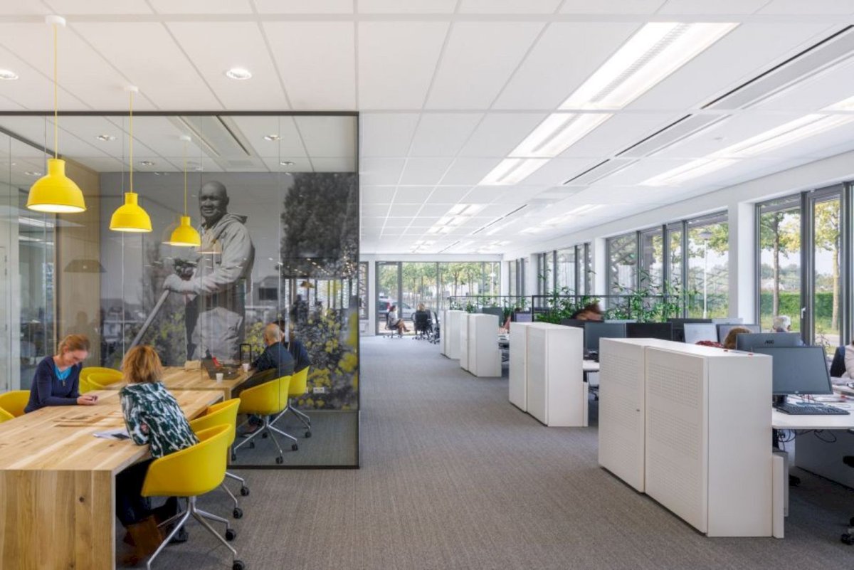 Shell компания офис