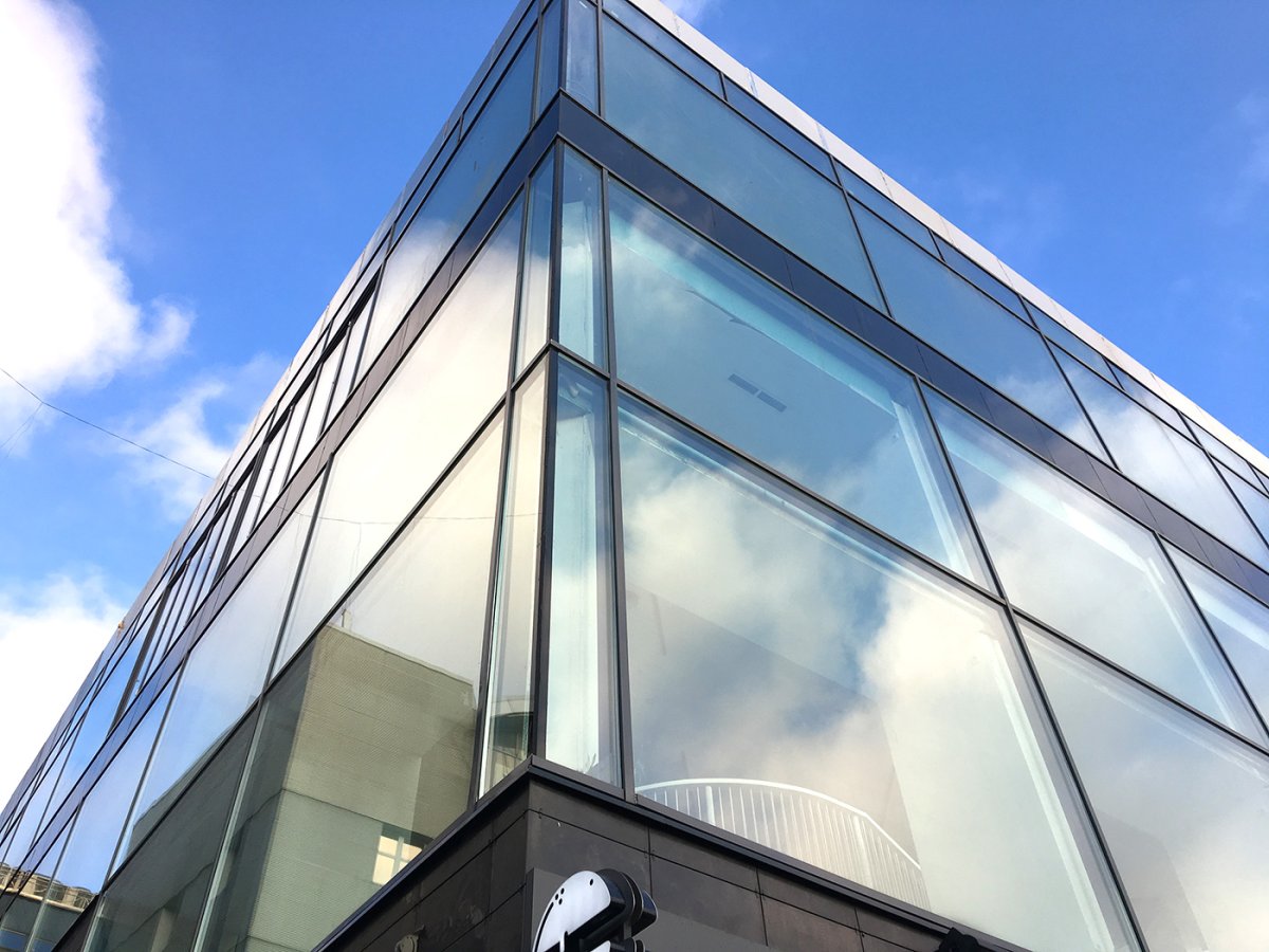 Дом со стеклянной стеной