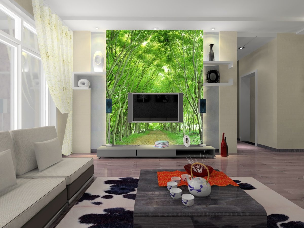 Гостиные с большим телевизором