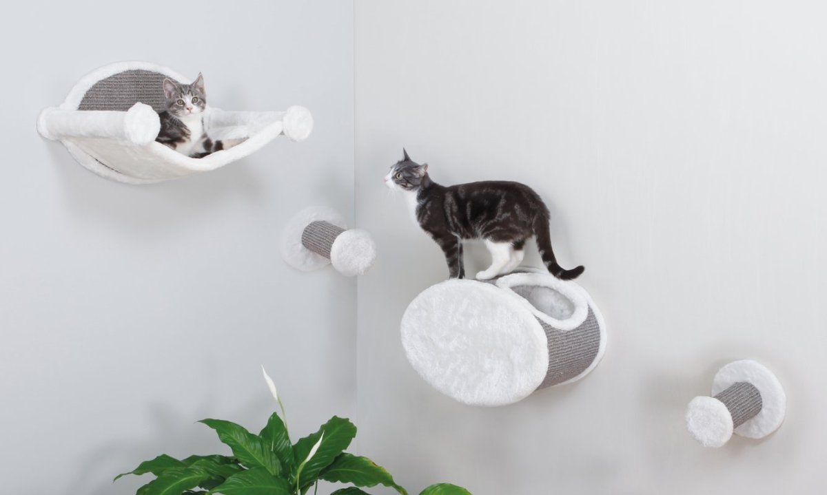 Полка ЛАКК для кота