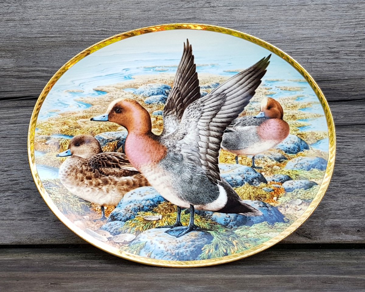 Тарелки декоративные Seltmann Weiden