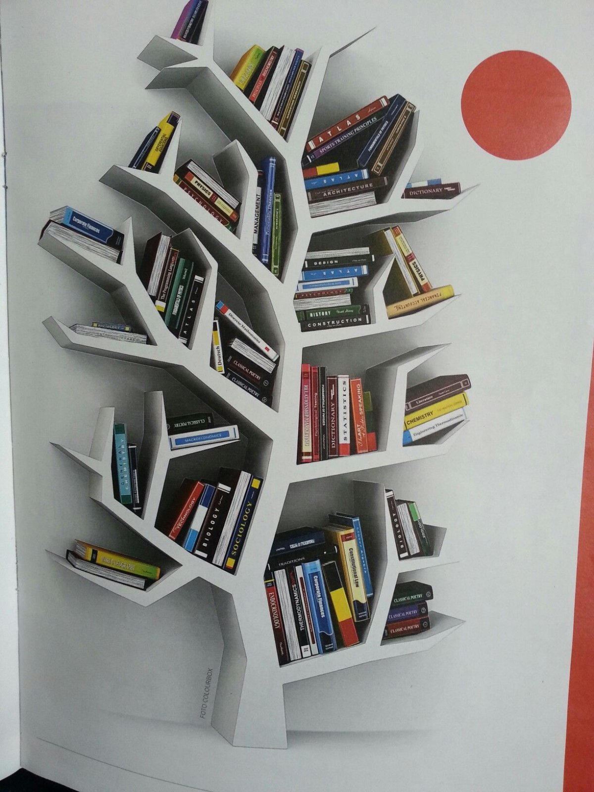 Elfa книжные полки