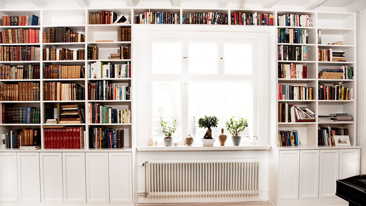 Гостиная с книжными полками