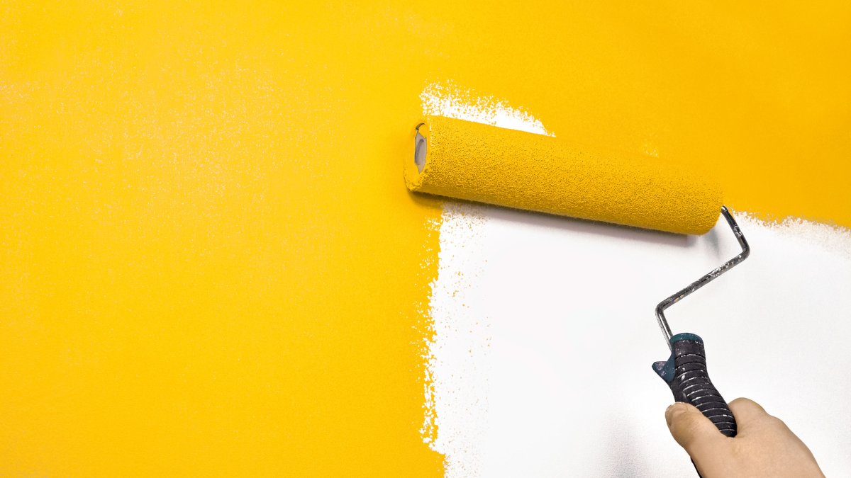 Двухцветное окрашивание стен