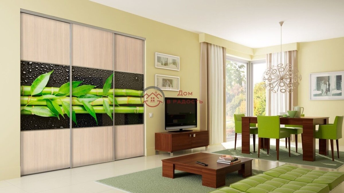 Гостиная со шкафом купе