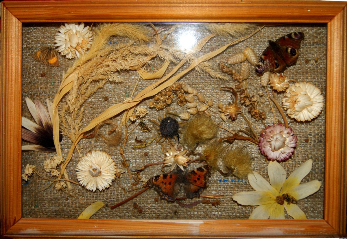 Панно из апельсиновых корок