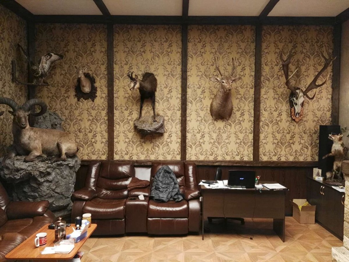 Комната с чучелами