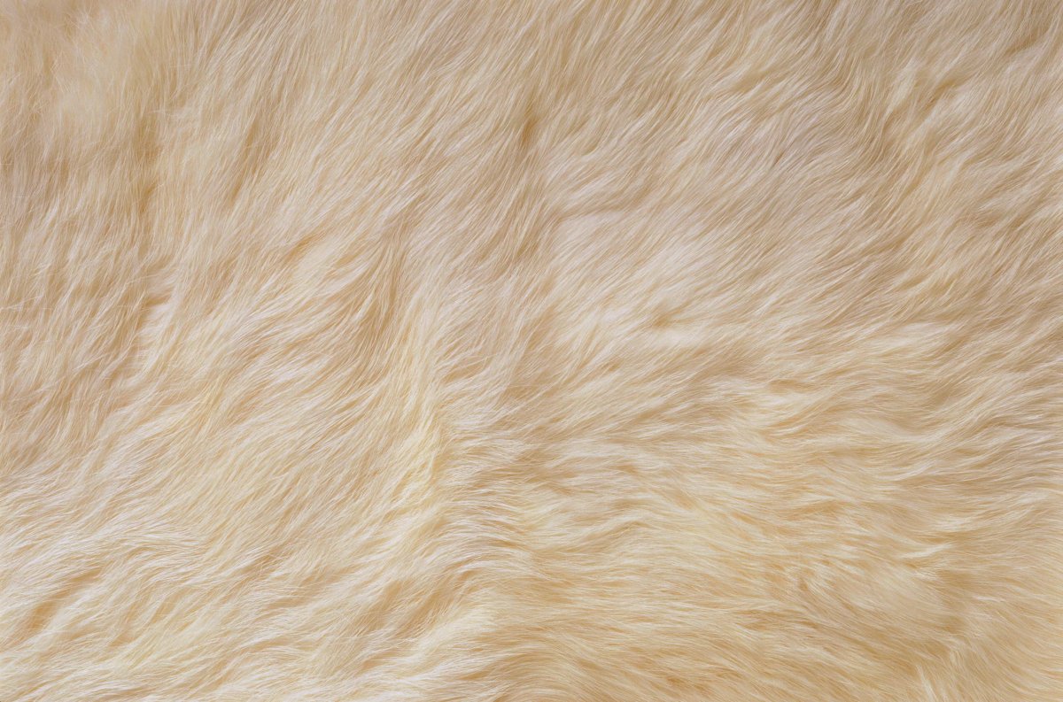 Тигриный окрас, Тигриная шкура