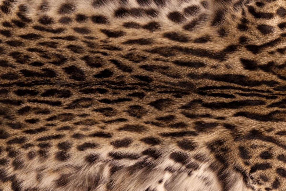 Коровья кожа