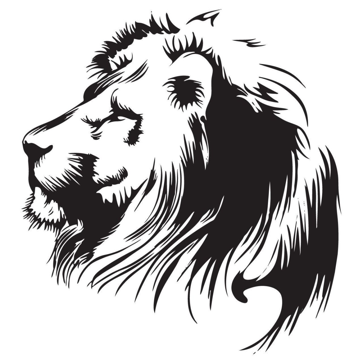 Лев эскиз в полный рост