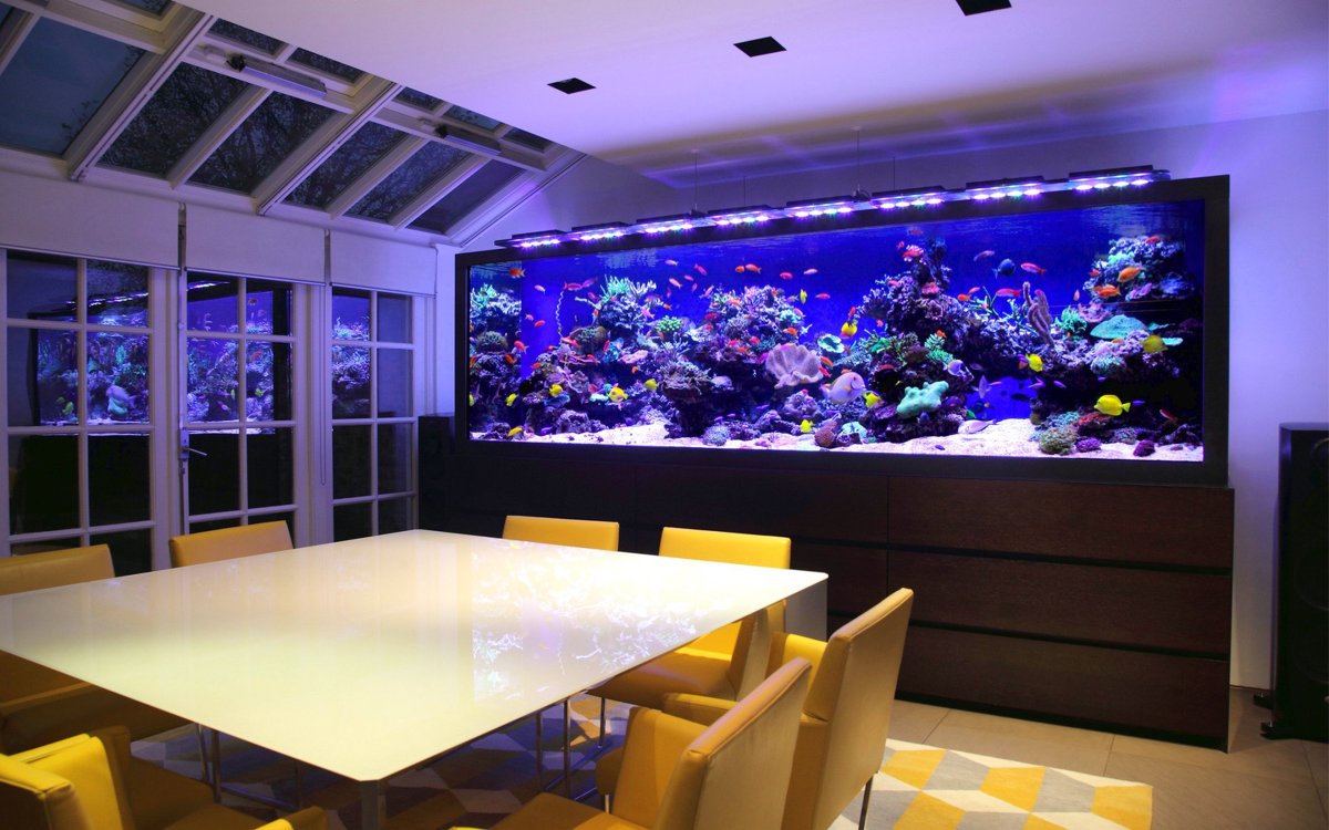 Аквариум встроенный в пол