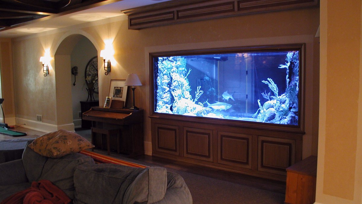 Аквариум встроенный в арку