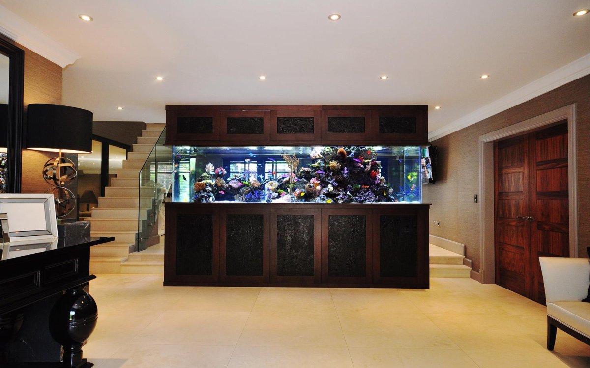 Морской аквариум в интерьере