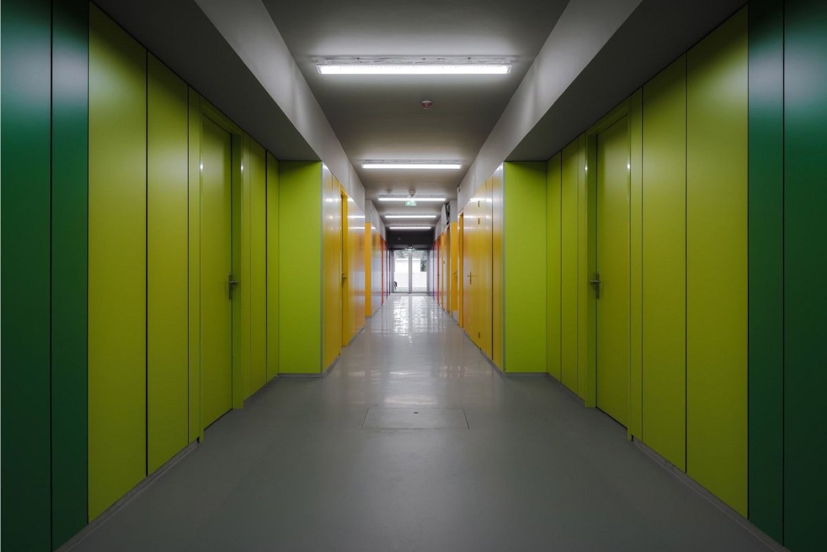 Гипсовиниловые стеновые панели