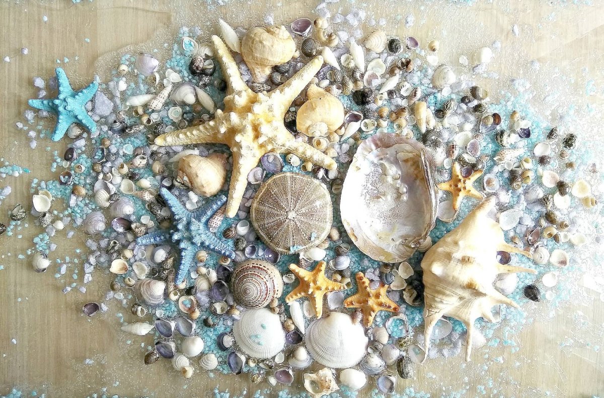 Декор из ракушек на стену