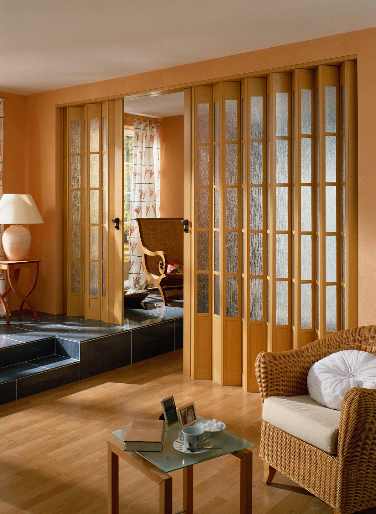 Раздвижные двери гармошка 220х100