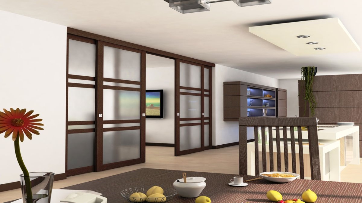 Складная дверь в гостиную