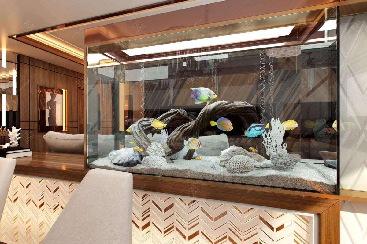 Сухой аквариум