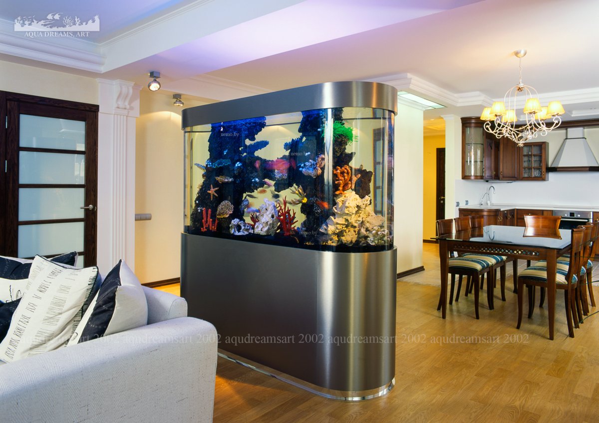 Зонирование аквариумом