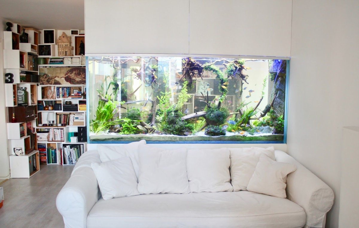 Встроенные аквариумы в стену