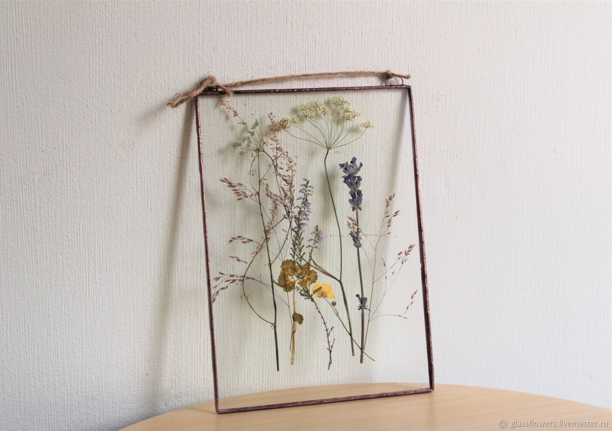 Гербариум в стекле