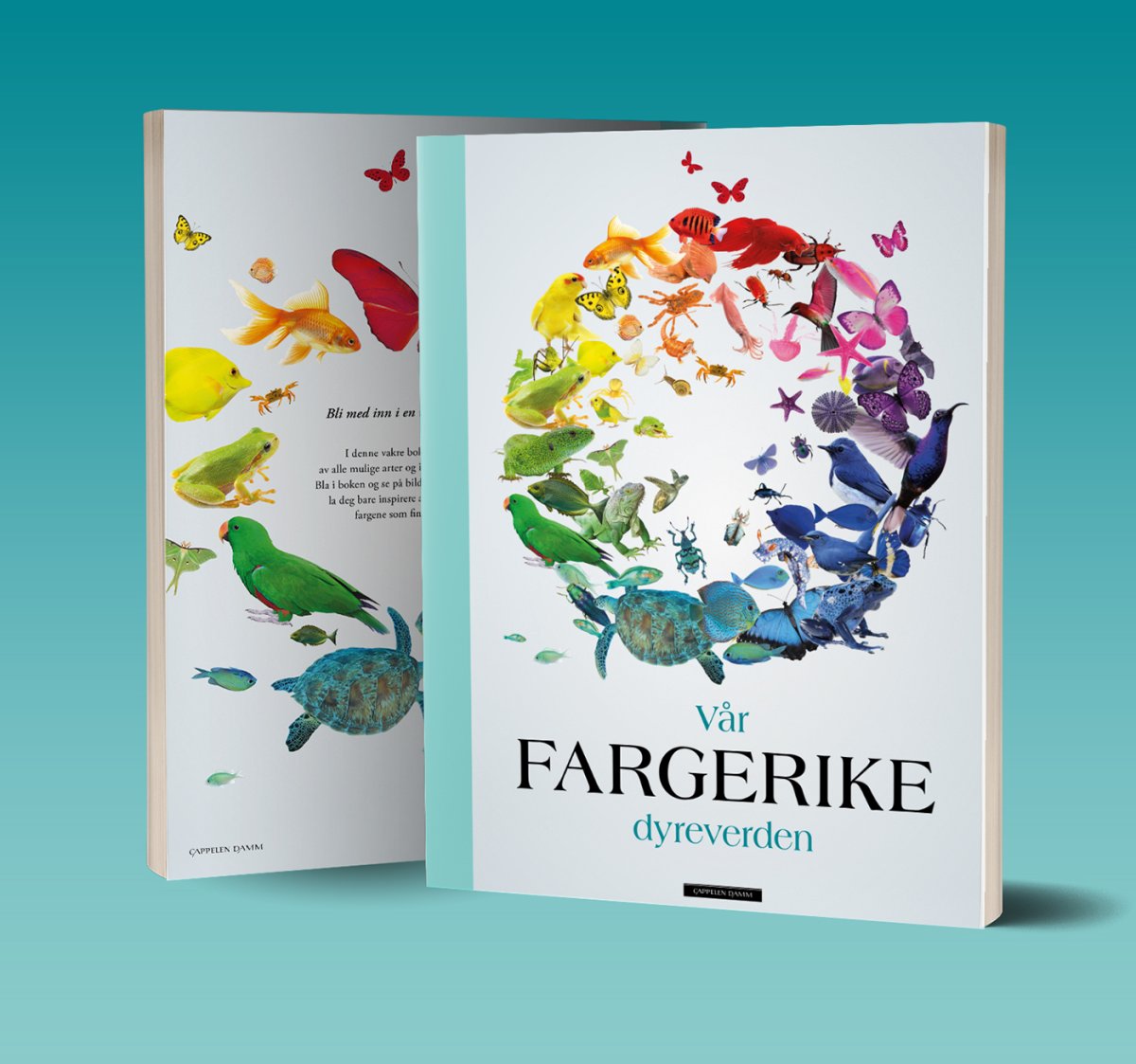 Обложка книги дизайн