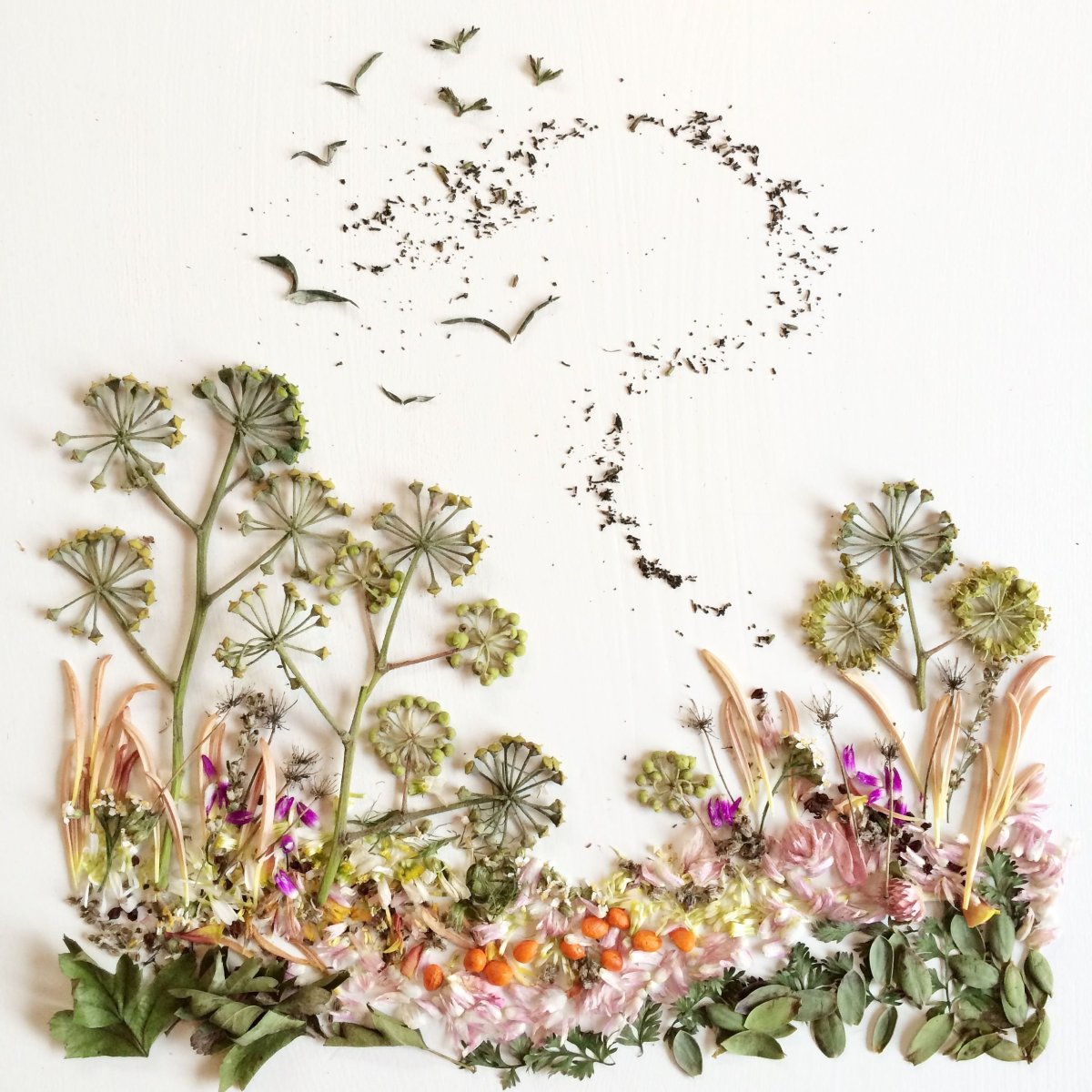 Круглое панно из сухоцвета