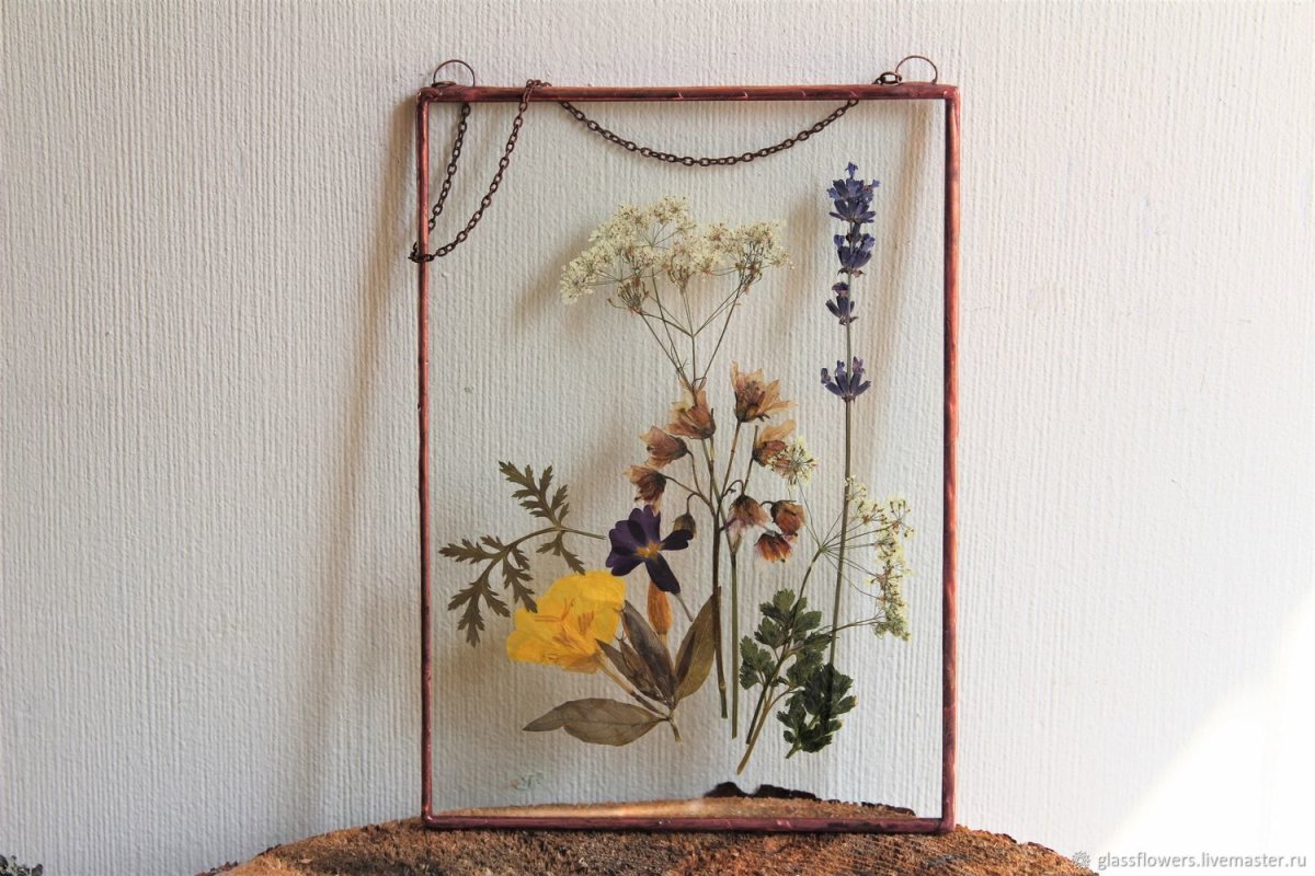 Сухие цветы