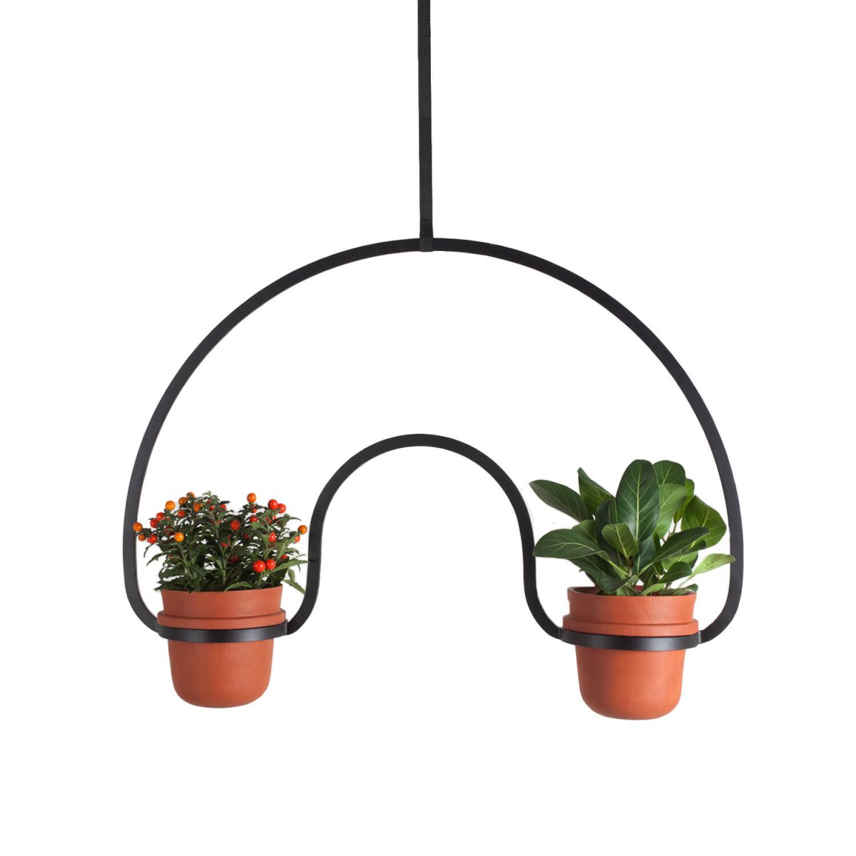 Суккуленты настенный круглый