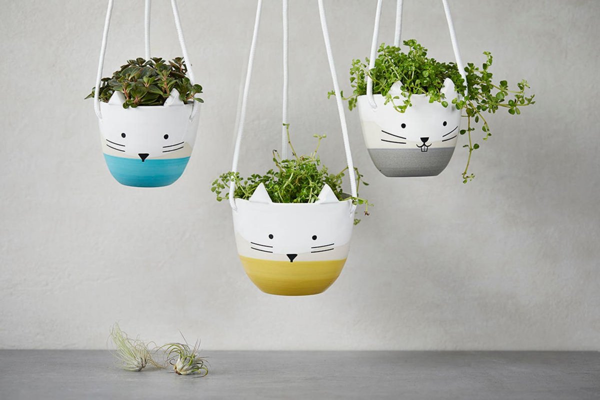 Круглые настенные кашпо для суккулентов