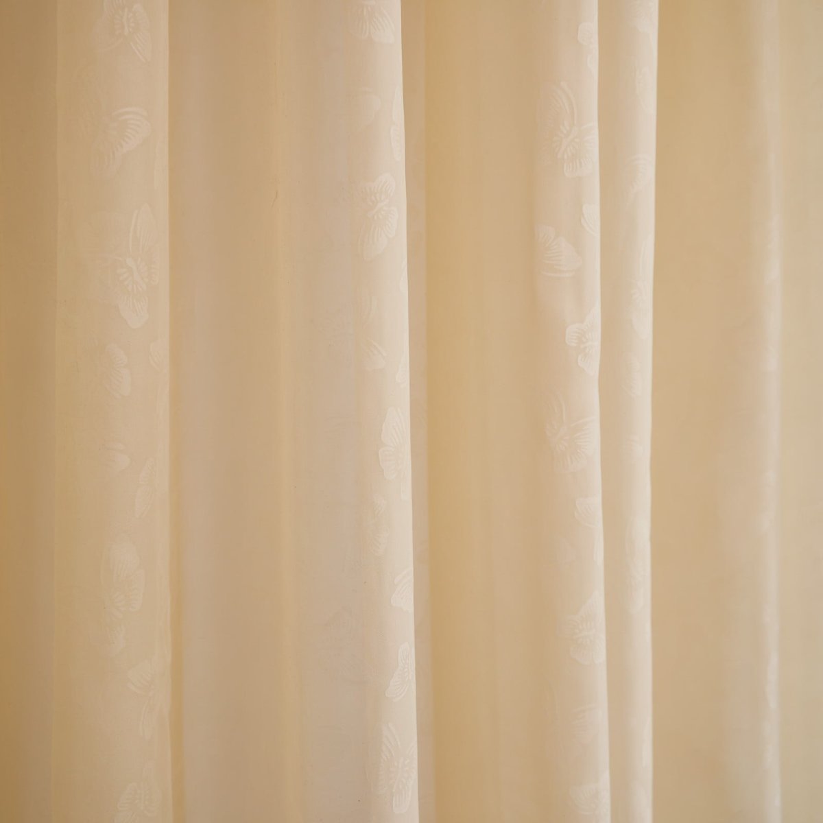 Шампань цвет фото обои