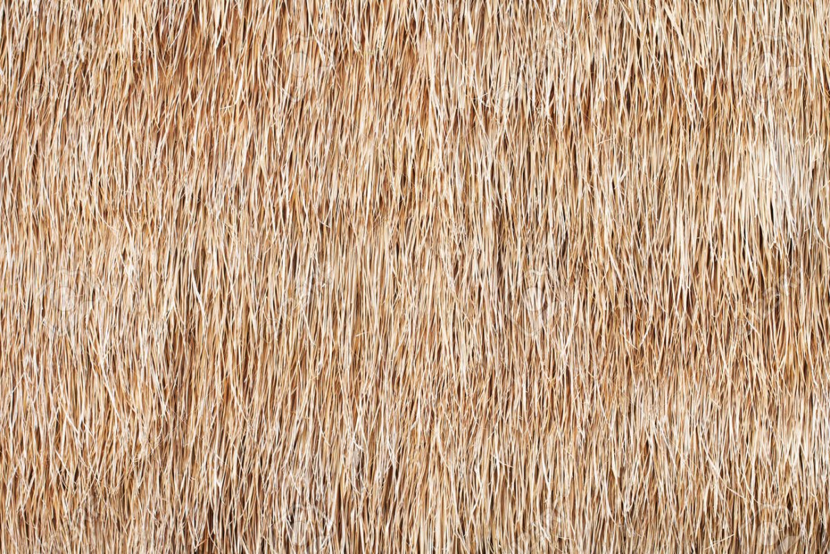 Текстура соломы для крыши