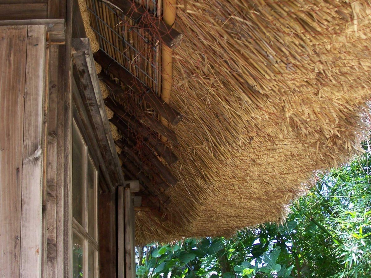 Изделия из камыша