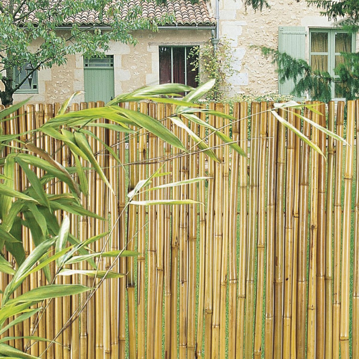 Камышитовый дом