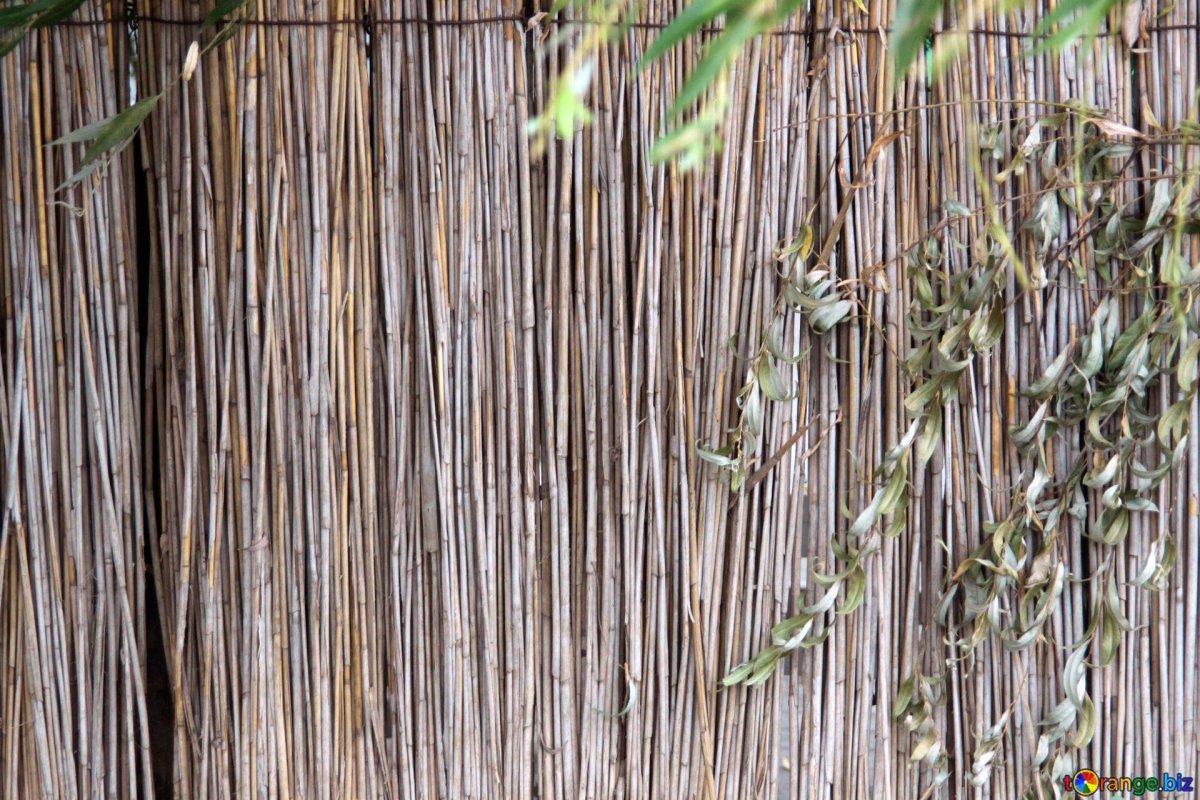 Декор из тростника