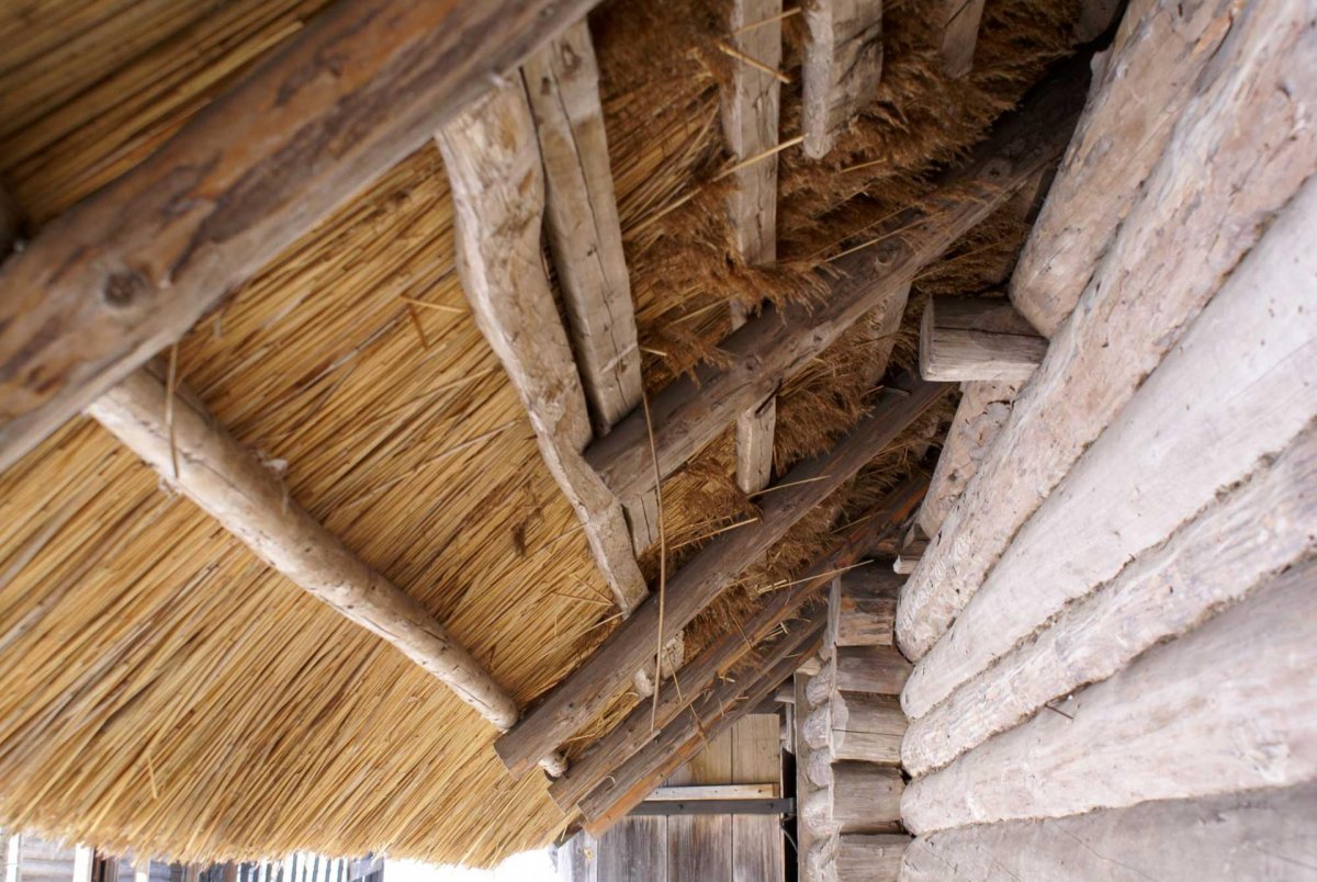 Забор из тростника