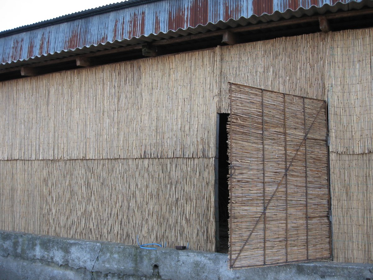 Камышитовые плиты