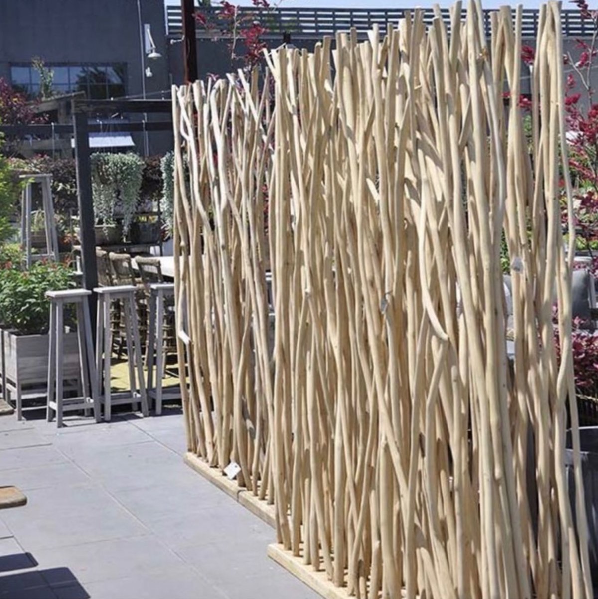 Сушка Рогоза