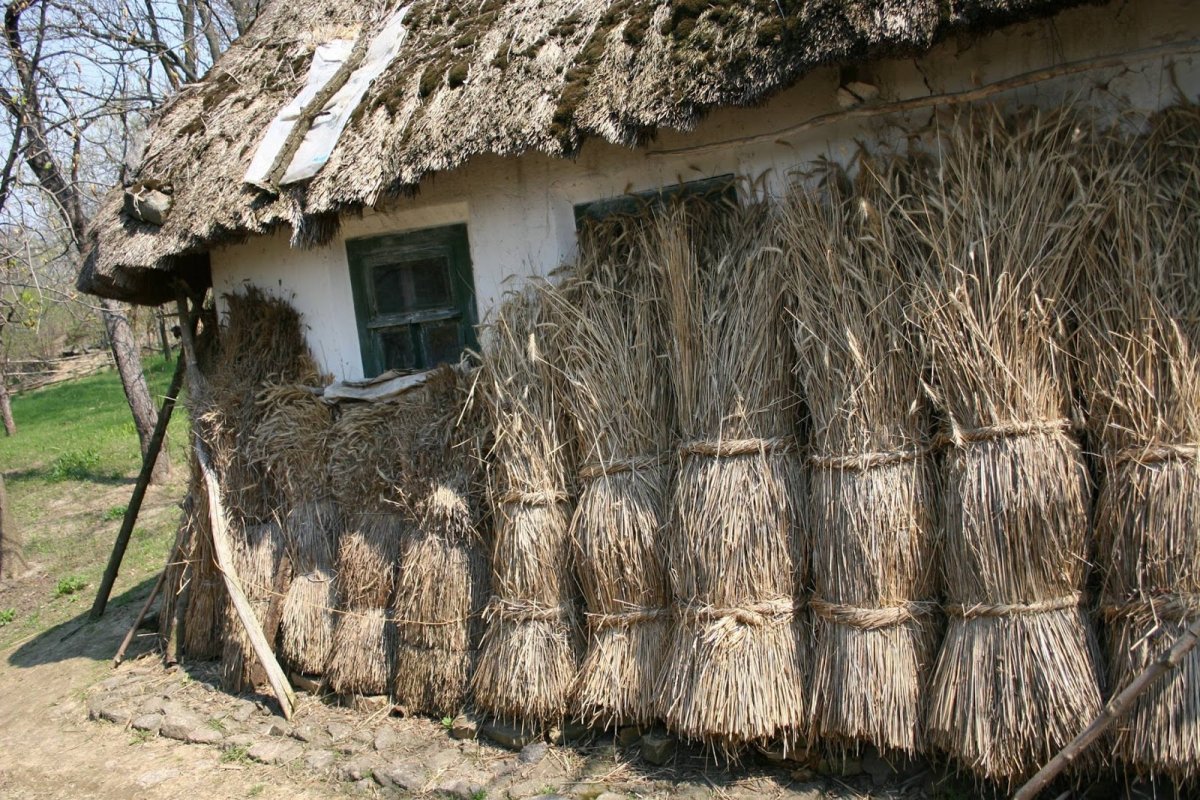 Обман зрения картинки