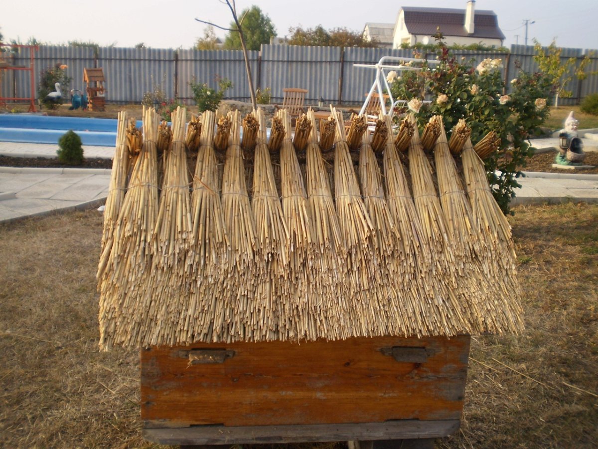 Сухие ветки для декора