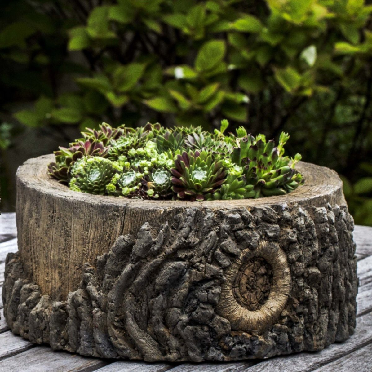 Цветочный горшок из пня