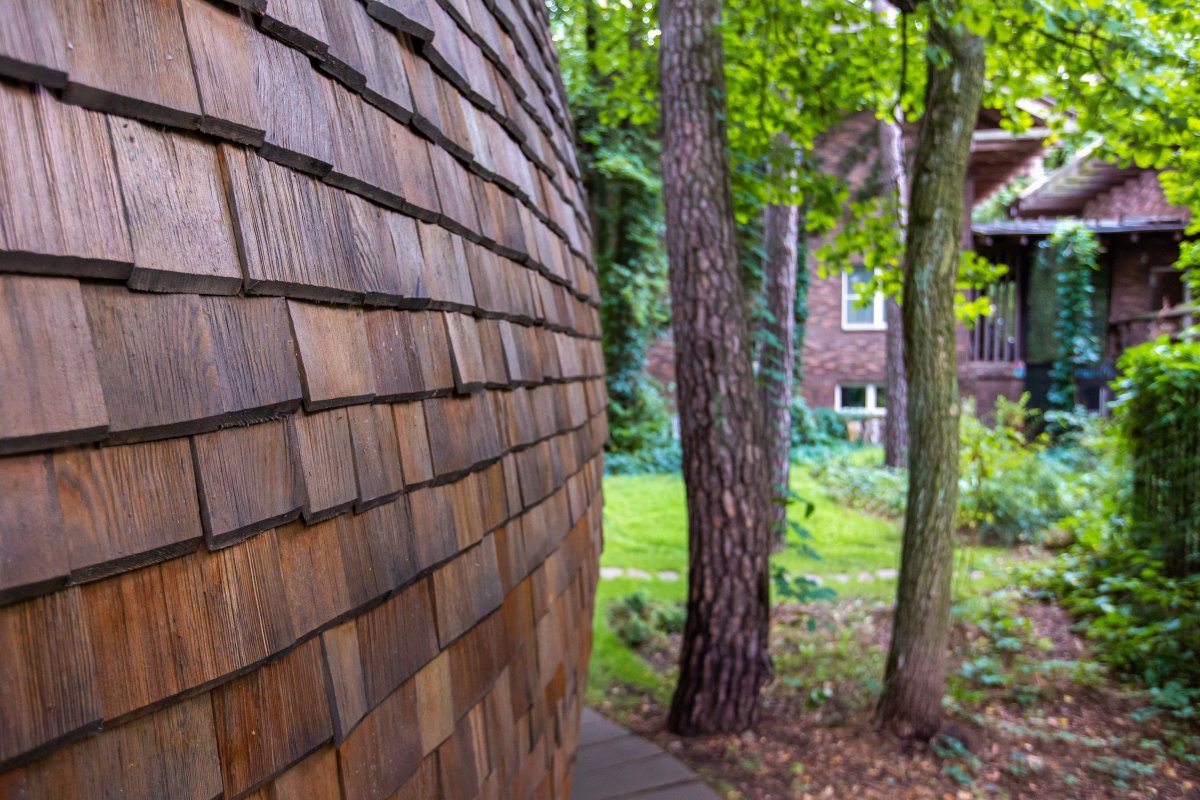 Дранка Шелтозеро