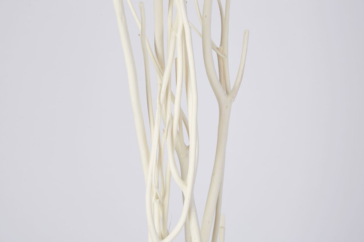 Декоративные ветки хофф