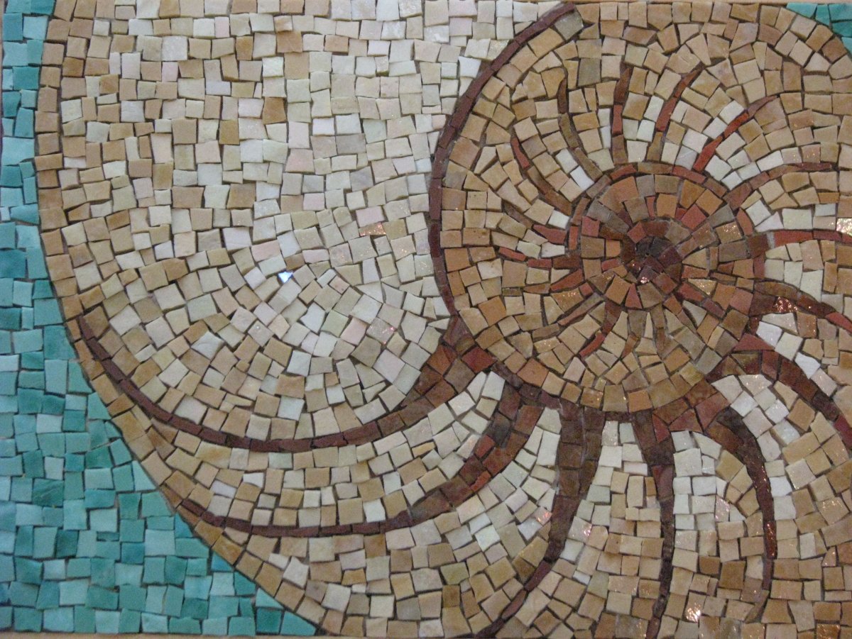 Аммонит мозаика