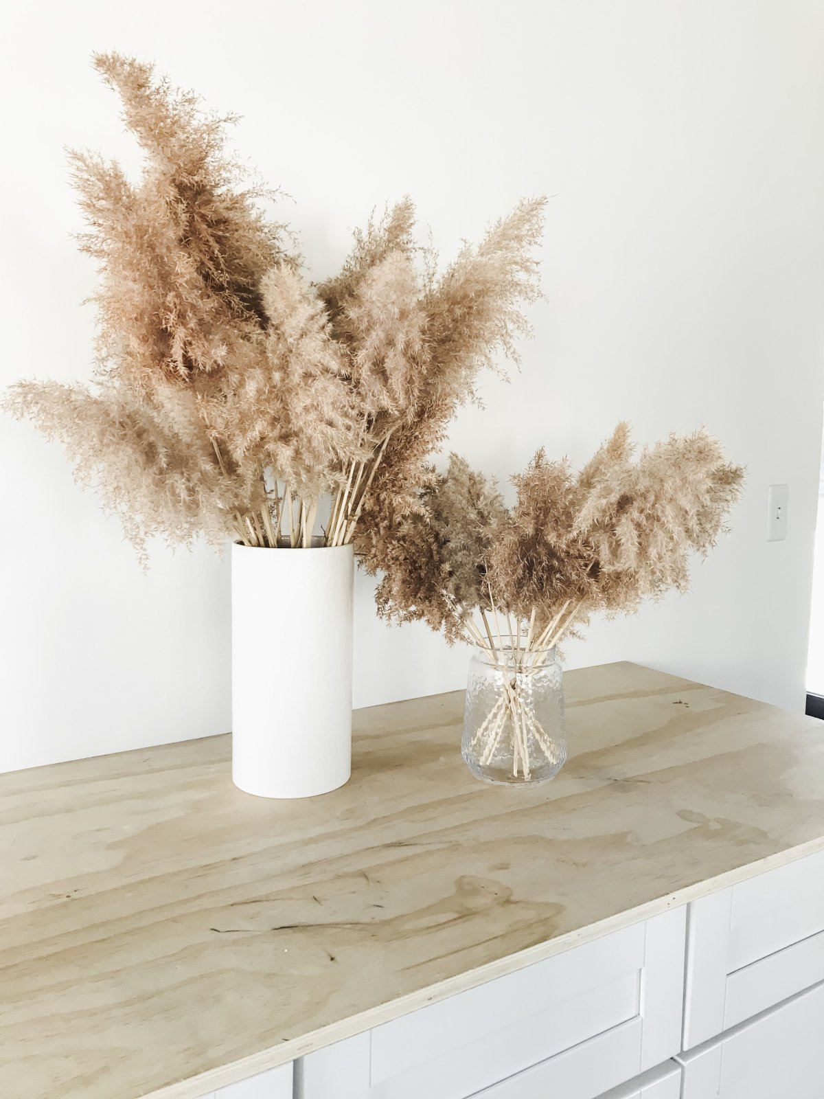 Pampas grass Decor